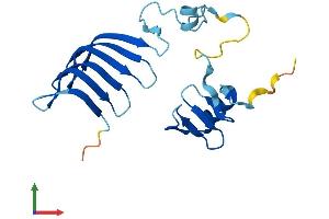 AlphaFold protein structure predicition of Mouse Recombinant Morn5 Protein, UniprotID Q9DAI9