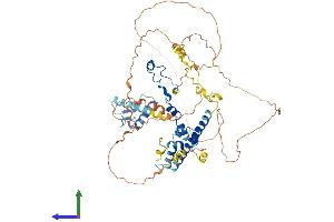 AlphaFold protein structure predicition of Human Recombinant RAD21 Protein, UniprotID O60216
