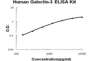 Human Galectin-3/LGALS3 PicoKine ELISA Kit standard curve (Galectin 3 Kit ELISA)