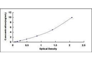 Typical standard curve (IL1RAP Kit ELISA)