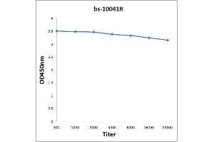 anti-Glycophorin B (GYPB) (AA 21-91) antibody