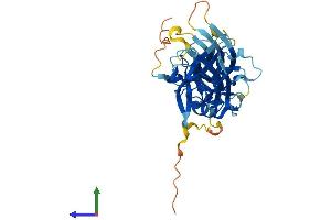 AlphaFold protein structure predicition of Human Recombinant SAG Protein, UniprotID P10523