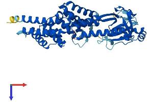 AlphaFold protein structure predicition of Human Recombinant TTC5 Protein, UniprotID Q8N0Z6