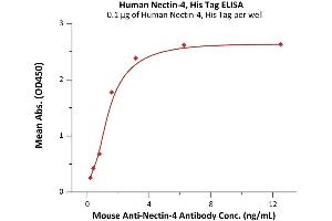 Immobilized Human Nectin-4, His Tag (ABIN6386454,ABIN6388277) at 1 μg/mL (100 μL/well) can bind Mouse An-4 Antibody with a linear range of 0.