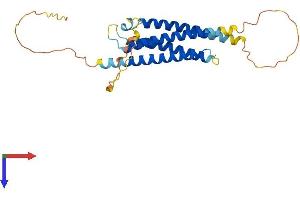 AlphaFold protein structure predicition of Mouse Recombinant Rgs7bp Protein, UniprotID Q8BQP9