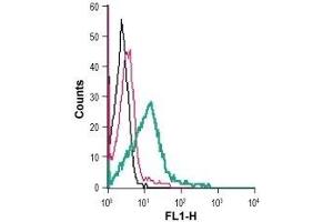 Cell surface detection of DAT in mouse TK-1 T-cell lymphoma cells: (black line) Cells.