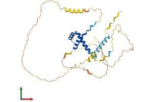 AlphaFold protein structure predicition of Human Recombinant NKX2-5 Protein, UniprotID P52952
