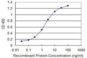 Detection limit for recombinant GST tagged WDR79 is 0. (WRAP53 anticorps  (AA 62-160))
