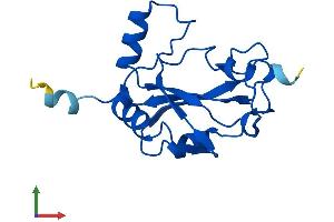 AlphaFold protein structure predicition of Human Recombinant NCBP2L Protein, UniprotID A6PVI3