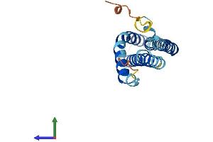 AlphaFold protein structure predicition of Mouse Recombinant Mtfp1 Protein, UniprotID Q9CRB8