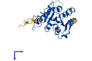AlphaFold protein structure predicition of Mouse Recombinant Mettl1 Protein, UniprotID Q9Z120