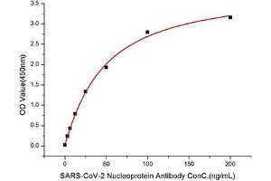 Immobilized Recombinant SARS-COV-2 Nucleocapsid (RP01264) at 1 μg/mL (100μL/well) can bind SARS-CoV-2 Nucleoprotein Antibody (ABIN7269053) with a linear range of 3. (Nucleoprotein anticorps)
