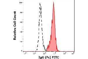Separation of human IgG (Fc) positive CD19 negative lymphocytes (red-filled) from CD19 positive IgG (Fc) negative lymphocytes (black-dashed) in flow cytometry analysis (surface staining) of human peripheral whole blood stained using anti-human IgG (Fc) (EM-07) FITC antibody (3 μL reagent / 100 μL of peripheral whole blood). (Souris anti-Humain IgG (Fc Region) Anticorps (FITC))