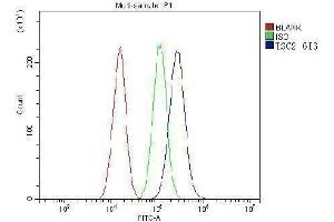 Flow Cytometry analysis of A549 cells using anti-TSC2 antibody (ABIN7600203).