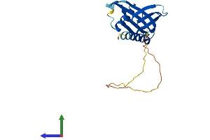 AlphaFold protein structure predicition of Human Recombinant ITGB1BP1 Protein, UniprotID O14713