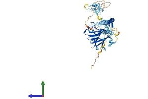 AlphaFold protein structure predicition of Human Recombinant TRIM16 Protein, UniprotID O95361