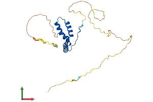 AlphaFold protein structure predicition of Human Recombinant SOX15 Protein, UniprotID O60248