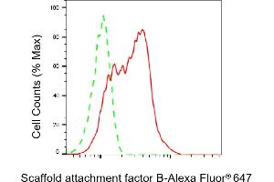 Flow cytometric analysis of Scaffold attachment factor B expression in HeLa cells using Scaffold attachment factor B antibody (ABIN7800275), 1:2,000).