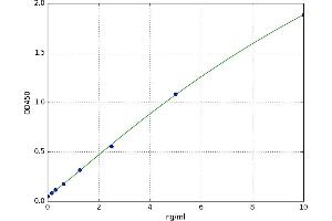 Nascent Polypeptide Associated Complex alpha 1 (NACa1) ELISA Kit
