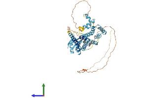 AlphaFold protein structure predicition of Human Recombinant PNMA5 Protein, UniprotID Q96PV4