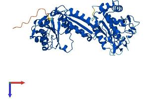 AlphaFold protein structure predicition of Mouse Recombinant Flad1 Protein, UniprotID Q8R123