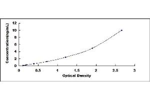 Typical standard curve (Nephronectin Kit ELISA)