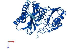 AlphaFold protein structure predicition of Human Recombinant IMPA1 Protein, UniprotID P29218