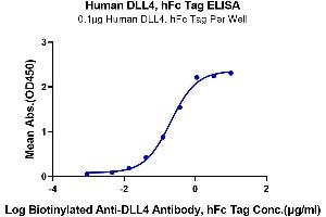 Immobilized Human DLL4, hFc Tag at 1 μg/mL (100 μL/Well) on the plate.