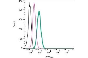 Cell surface detection of CD81 by direct flow cytometry in live intact mouse  microglia cell line: + Rabbit IgG Isotype Control-FITC (ABIN7582044). (CD81 anticorps  (Extracellular) (FITC))