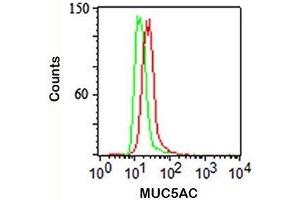 Intracellular flow cytometry staining of A549 cells using MUC5AC antibody (red) and isotype control (green). (MUC5AC anticorps)