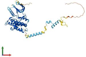 AlphaFold protein structure predicition of Mouse Recombinant Phkg2 Protein, UniprotID Q9DB30