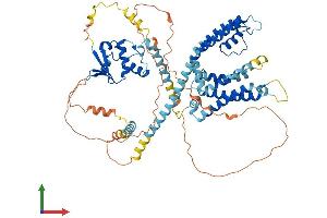 AlphaFold protein structure predicition of Mouse Recombinant Kcnd1 Protein, UniprotID Q03719