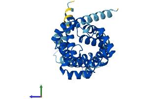 AlphaFold protein structure predicition of Human Recombinant SLC25A5 Protein, UniprotID P05141