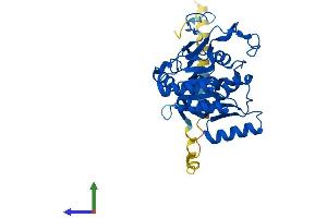 AlphaFold protein structure predicition of Human Recombinant B3GALT6 Protein, UniprotID Q96L58
