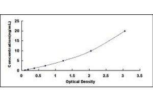 Typical standard curve (CCRN4L Kit ELISA)
