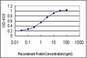 ELISA image for anti-Sprouty Homolog 1, Antagonist of FGF Signaling (SPRY1) antibody (ABIN781897)
