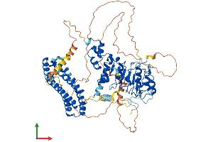 AlphaFold protein structure predicition of Human Recombinant FBXL5 Protein, UniprotID Q9UKA1