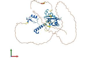 AlphaFold protein structure predicition of Mouse Recombinant Znhit6 Protein, UniprotID Q3UFB2