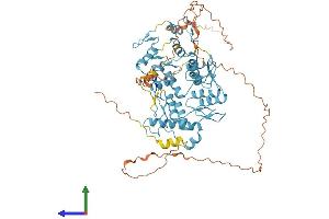 AlphaFold protein structure predicition of Human Recombinant ZNF264 Protein, UniprotID O43296