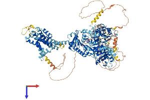 AlphaFold protein structure predicition of Mouse Recombinant Kcnt1 Protein, UniprotID Q6ZPR4