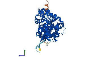AlphaFold protein structure predicition of Human Recombinant HYKK Protein, UniprotID A2RU49