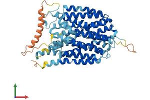 AlphaFold protein structure predicition of Human Recombinant SLC43A3 Protein, UniprotID Q8NBI5