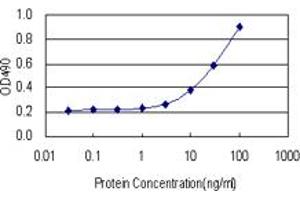 PCK1 (Human) Matched Antibody Pair