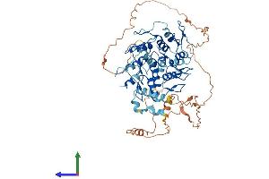 AlphaFold protein structure predicition of Human Recombinant ZNF343 Protein, UniprotID Q6P1L6