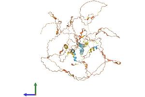 AlphaFold protein structure predicition of Human Recombinant TROAP Protein, UniprotID Q12815