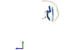AlphaFold protein structure predicition of Human Recombinant KRT16 Protein, UniprotID P08779