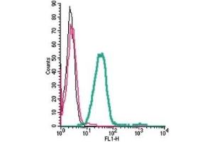 Cell surface detection of Orai1 by direct flow cytometry in live intact rat RBL-2H3 basophilic leukemia cells: (black line) Cells.