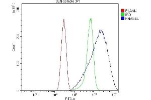 anti-Ribonuclease L (2',5'-Oligoisoadenylate Synthetase-Dependent) (RNASEL) (AA 24-735) antibody