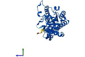 AlphaFold protein structure predicition of Human Recombinant ACY3 Protein, UniprotID Q96HD9