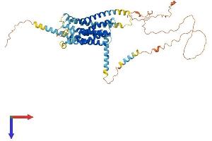 AlphaFold protein structure predicition of Human Recombinant GPR176 Protein, UniprotID Q14439